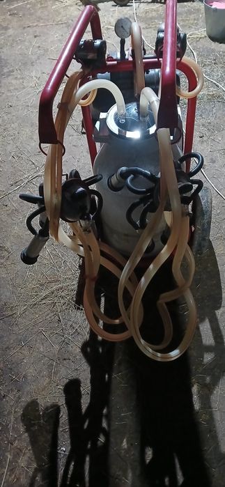 Апартаменты доильный