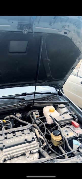 Амортизатор капота ( газлифт )