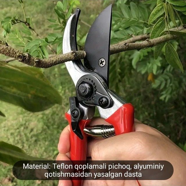 Богбон хизмати Садовая услуги