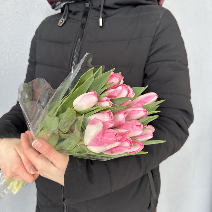 Тюльпаны в наличии