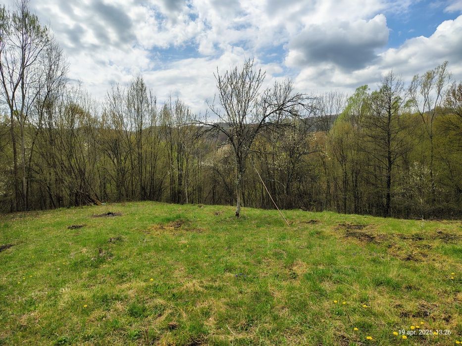 Teren Brădetu, Valea Vâlsanului - Argeș, intravilan!