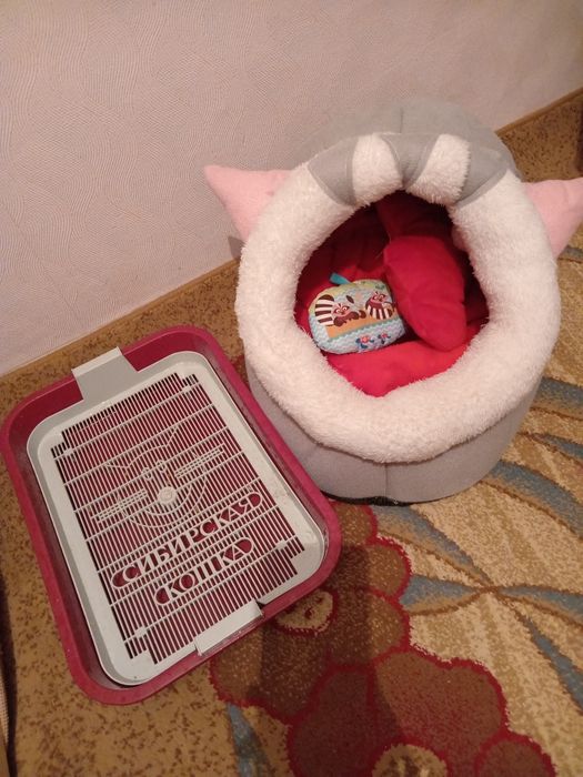 Домик   и   Лоток