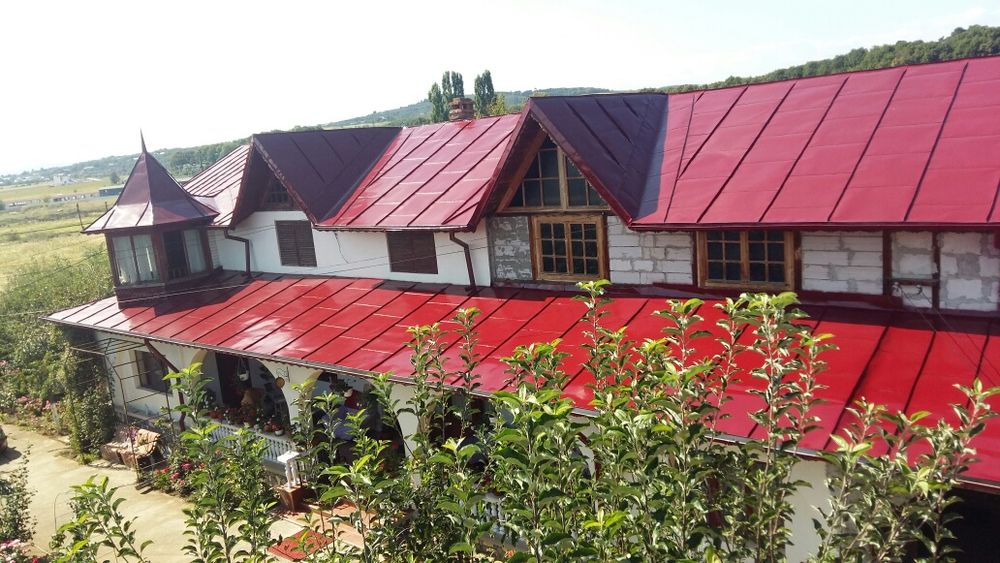 Vopsitor acoperisuri