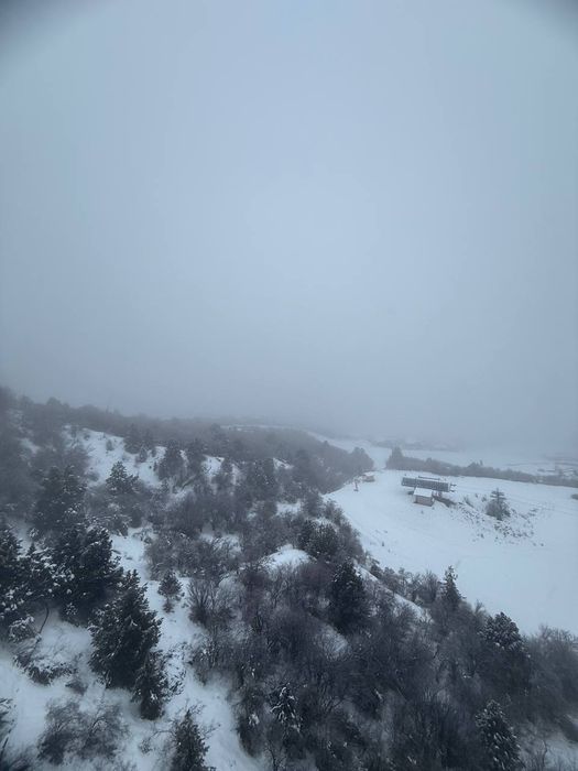 Мол гунги бор текин кимга керак булса