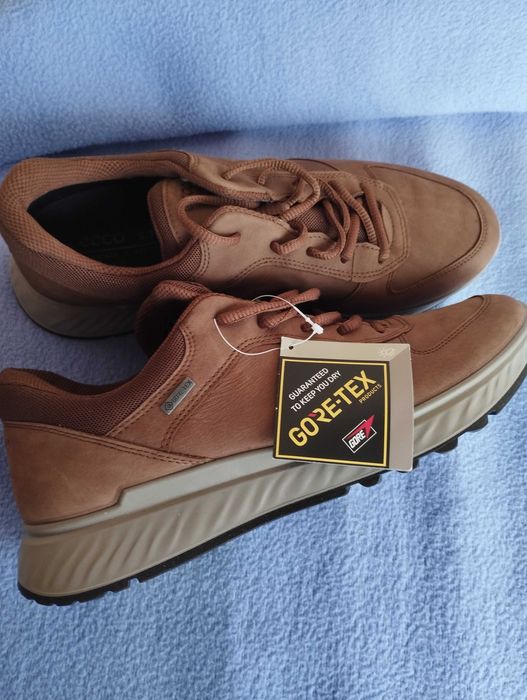 Ecco coretex номер 41.