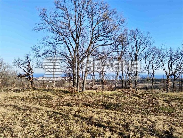 Продава се Парцел в Царево - 5600 кв.м за 50 €/кв.м - Снимка #2