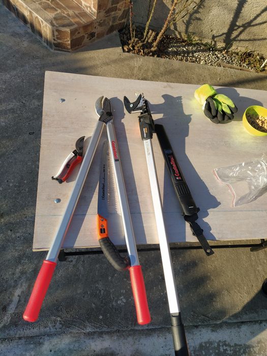 Execut taieri de formare și regenerare la toate speciile pomicole