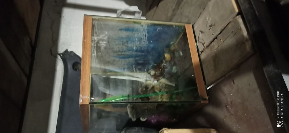 аквариум с водорослями,песком,