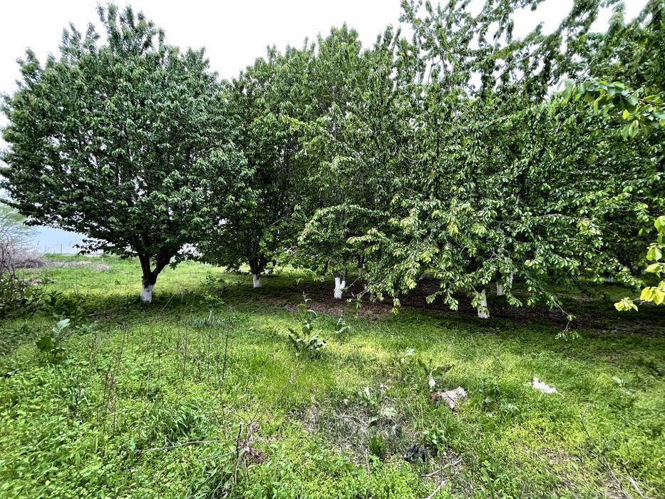 Земельный участок для бизнеса на Ташморе 2.2 гектара.