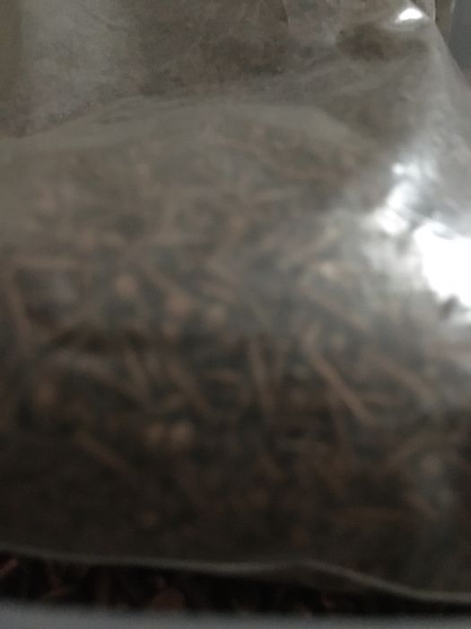 Vând cuie din cupru