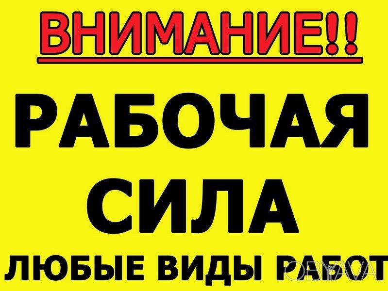 Услуги грузчиков