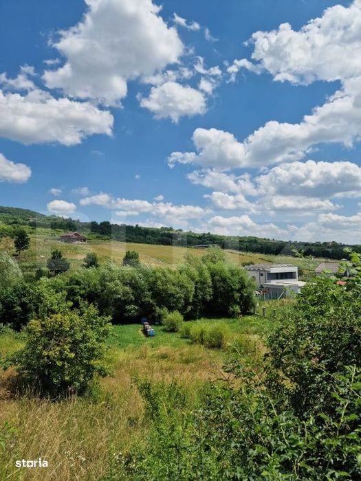 Teren extravilan, 774 mp, drumul Tarpiului
