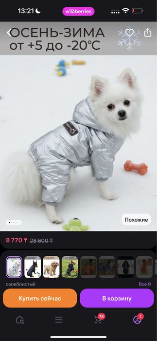 Одежда для собак