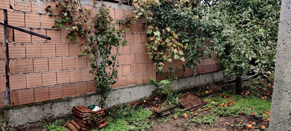 Продава се Къща в с. Бараково, Област Кюстендил - 160 кв.м за 313 €/кв.м - Снимка #12