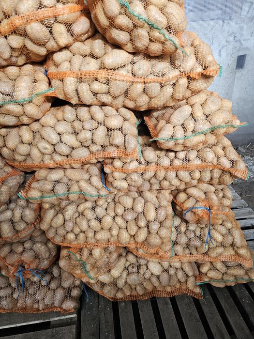 Cartofi de vânzare sat iasi comuna rece