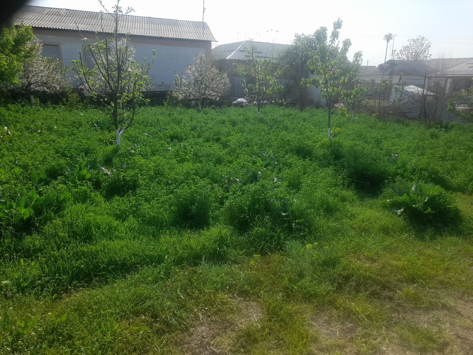 Продаётся земля. 4 сотик