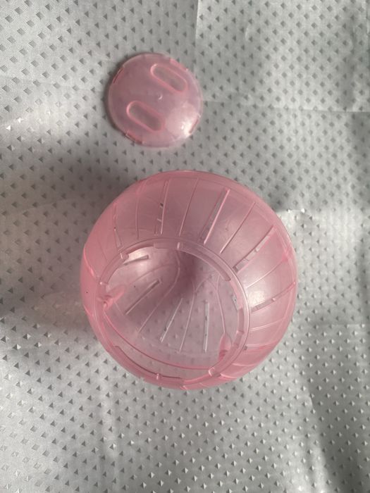 Шар прогулочный для хомяка.