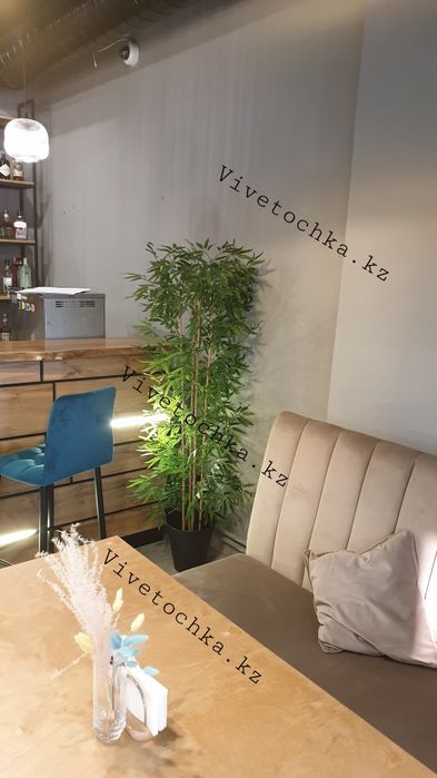 Искусственный Бамбук Костанай