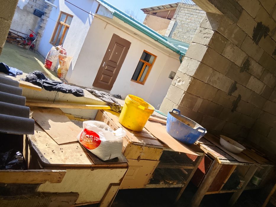 Quyonlar sotiladi  uylari bilan birga beraman. Bugʼozlari xam bor ,