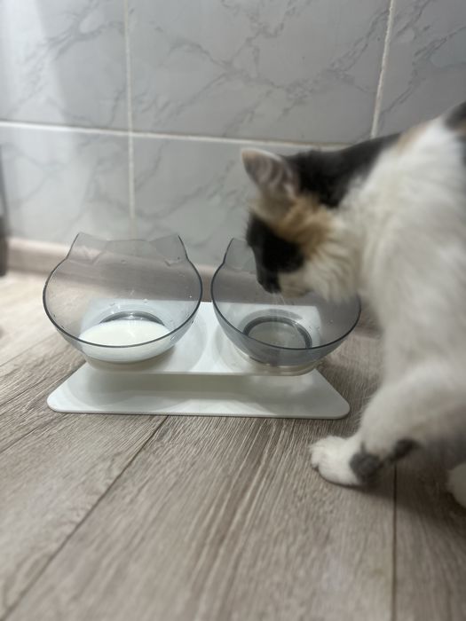 Когтеточка + миска