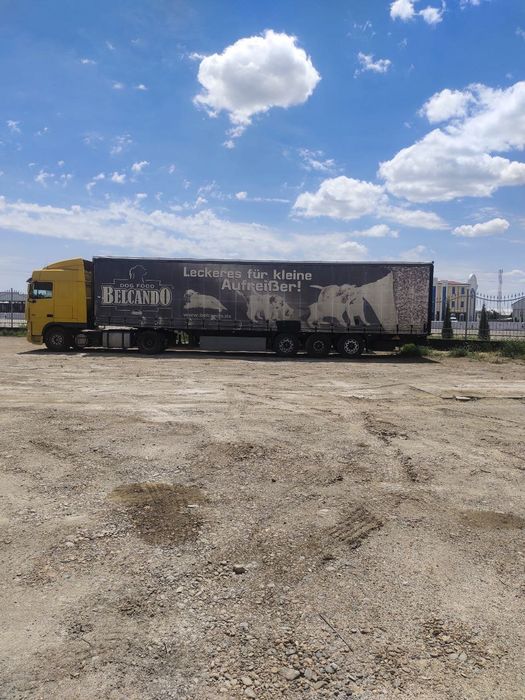 Даф тигач 2006 прицеп 2008