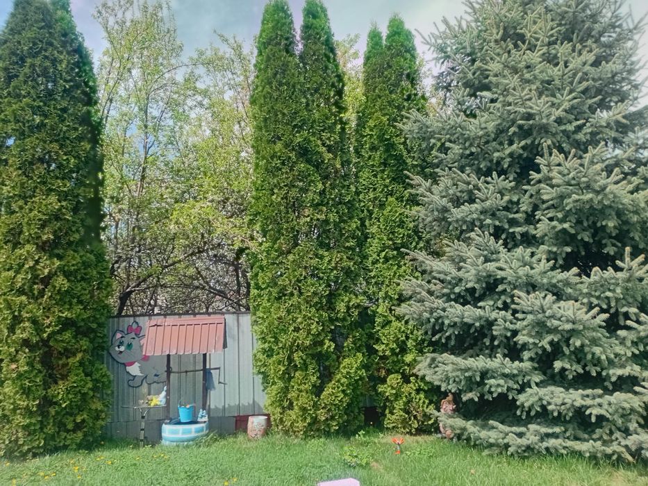 Продам небольшой домик.