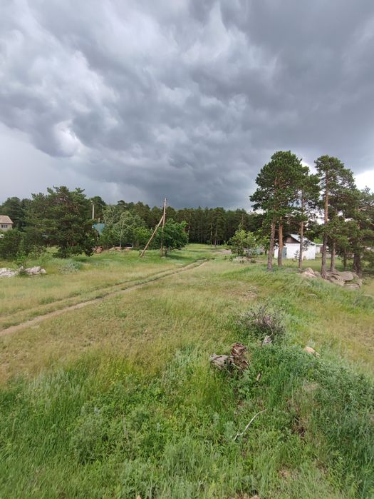 Земельный участок в лесу