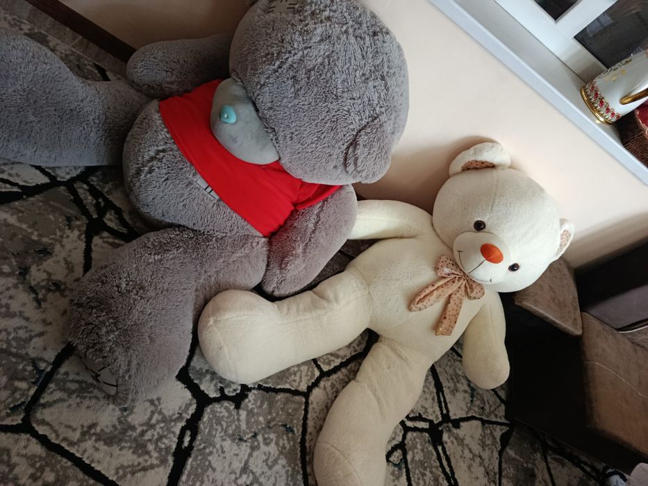 Teddy, ayiq sotiladi!!