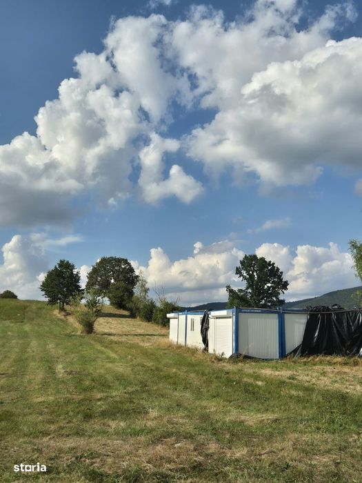 Șinca Nouă – 8.439 mp pentru agricultură, apicultură și investiție