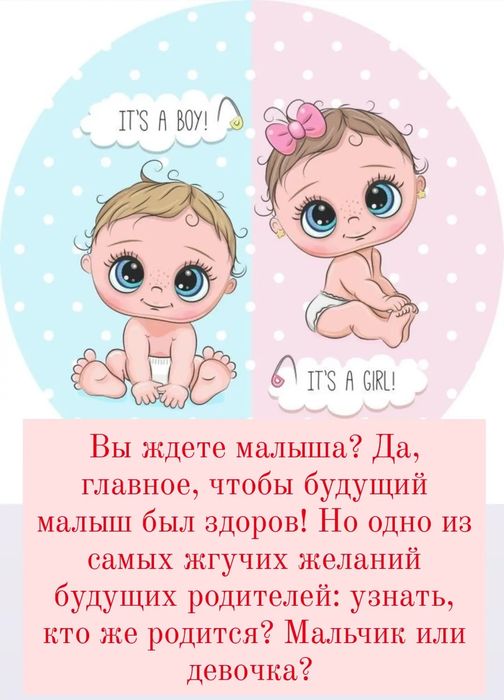 Гендер пати набор подарок праздник