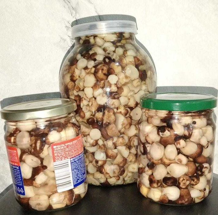 Продам грибы валуи