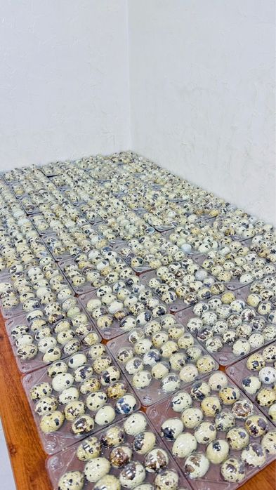 Перепелиные яйца