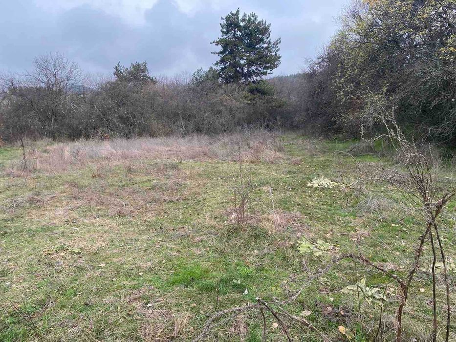 Продава се Земеделски имот в Калофер -  кв.м за 1326 €/дка - Снимка #3