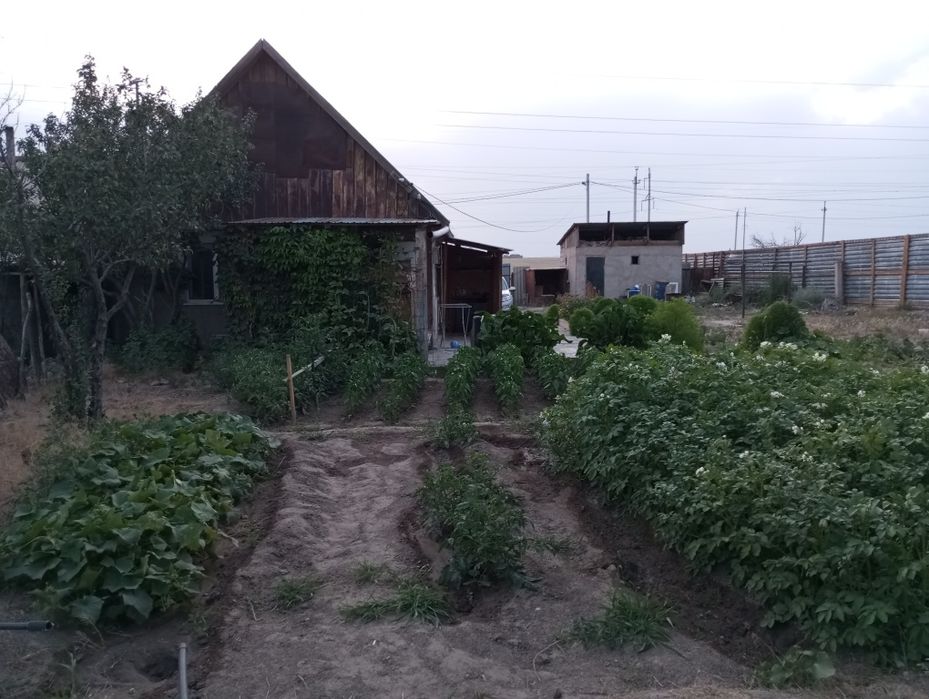 Продам дачу . строитель