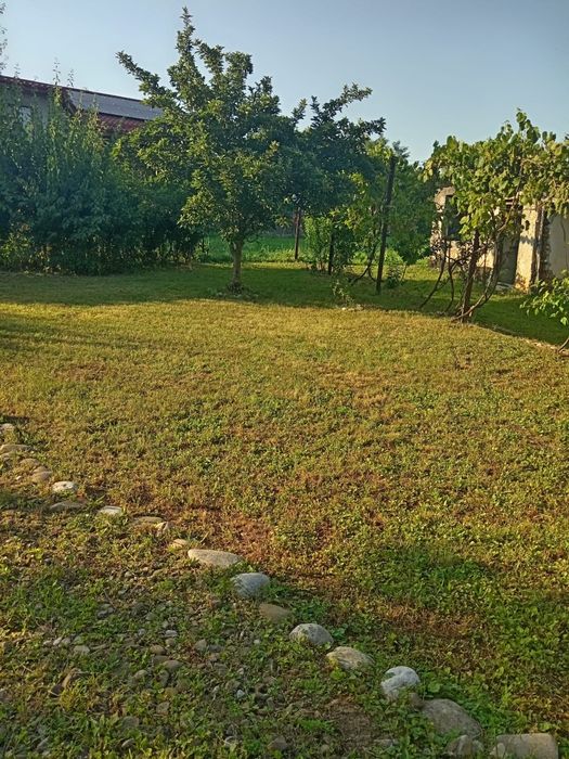 Casă batraneasca teren 700 mp