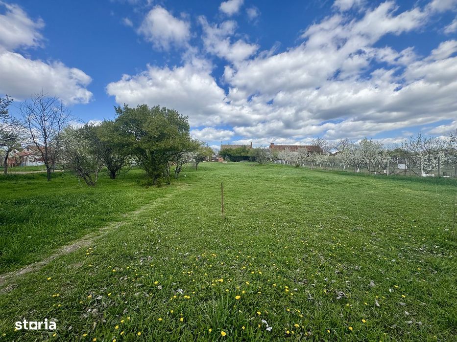 Vand teren 4097 mp, Aradul Nou