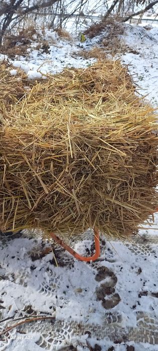 Сено луговая в тюках