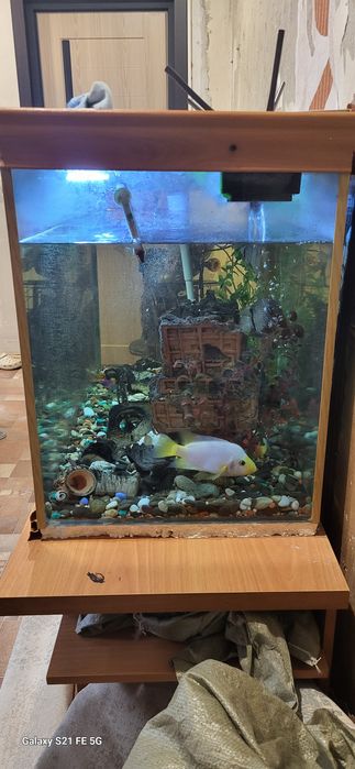 Аквариум для дома