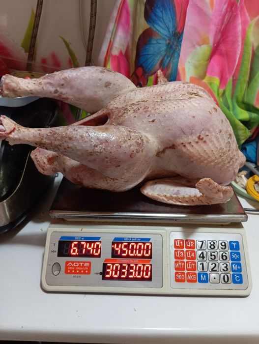 Продам мясо индейки