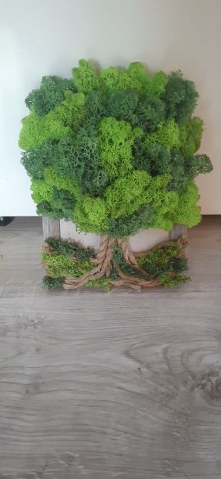 Дървото на живота от скандинавски мъх различни размери в рамка