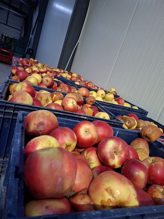 Vind mere pentru rachiu..