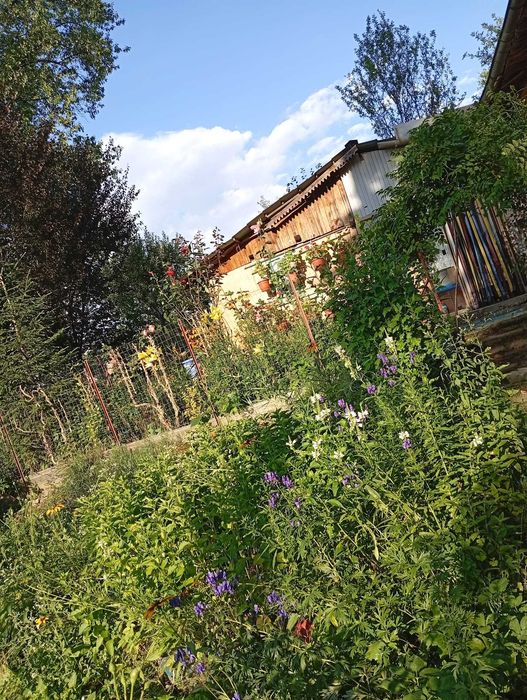 Casa de vacanta la tara