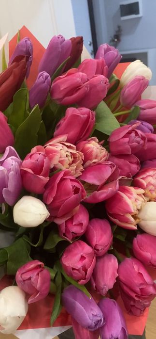 Продам цветы свежие