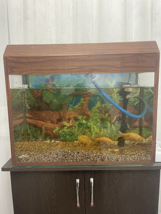 Продаю аквариум без рыбок