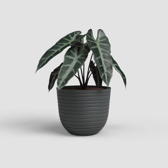 Кашпа Голяма стабилна саксия с напоителна система