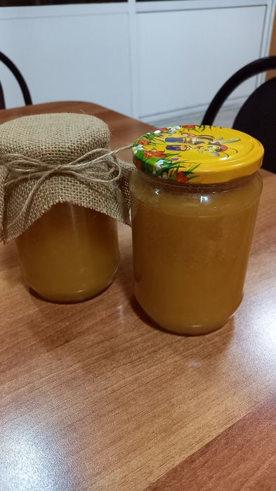 Пчелен мед реколта 2025