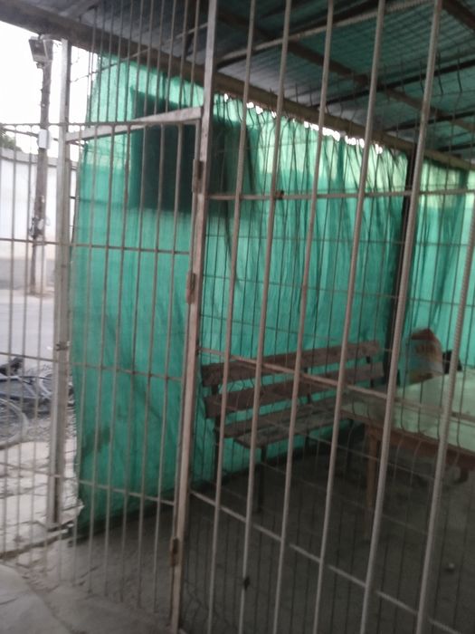 Laryok sotiladi ларйок сотилади