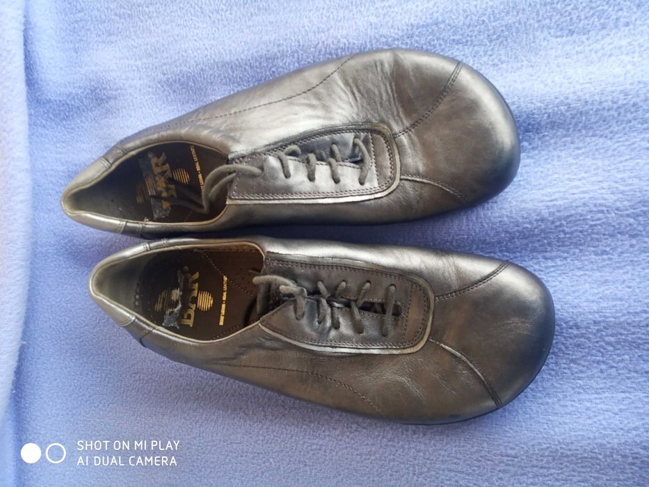 Fin Comfort, Gabor, Kennel & Shemenger и Bär номер 42.