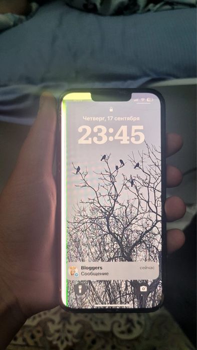 Iphone 13 черный или синий