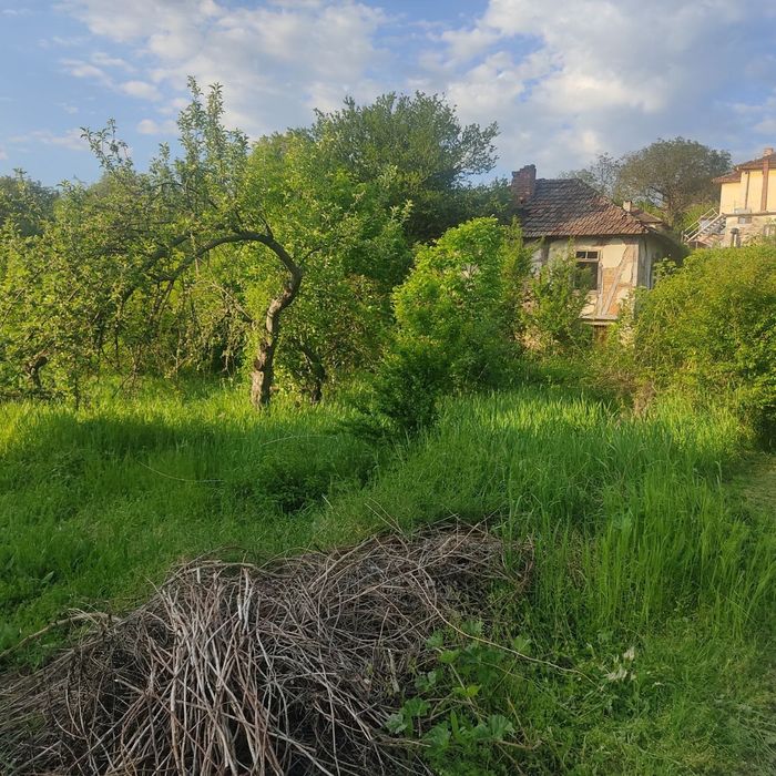 Парцел в с. Синаговци - 595 кв.м.